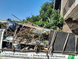 Best Electronics and E-Waste Disposal  in Sturgis, MI