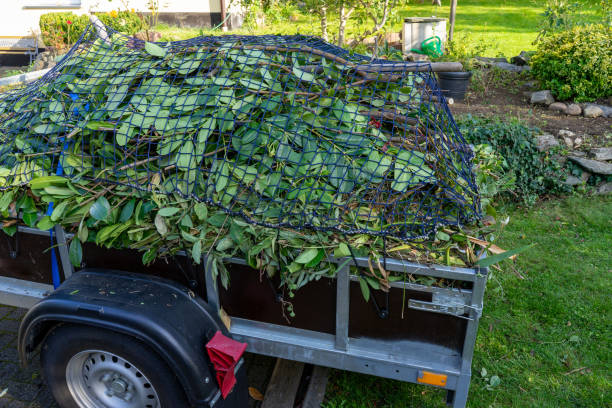 Same-Day Junk Removal Services in Sturgis, MI